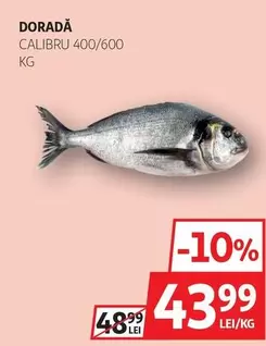 DORADĂ CALIBRO 400/600 KG