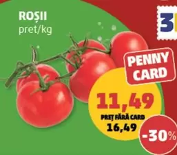 ROȘII