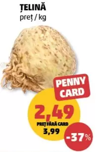 Țelină