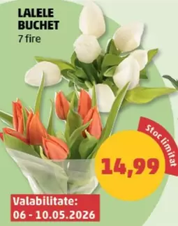 LALELE BUCHET