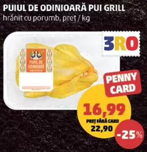PUIUL DE ODINIOARĂ PUI GRILL
