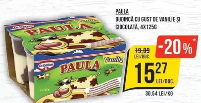 Dr.Oetker - Budincă cu gust de vanilie și ciocolată