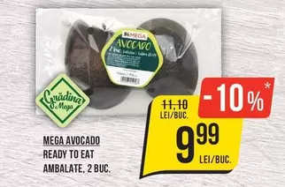 AVOCADO