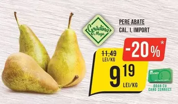 Pere Abate