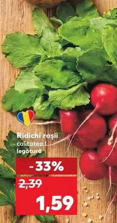 Ridichi rosii