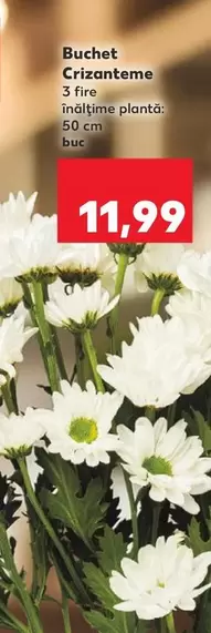Buchet Crizanteme
