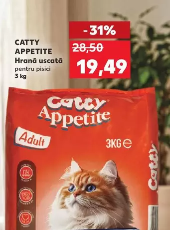 Hrana uscata pentru pisici