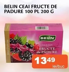 Forest - CEAI FRUCTE DE PADURE 100 PL 200 G