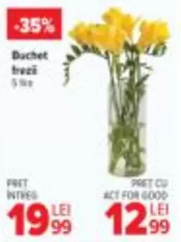 Buchet frezii