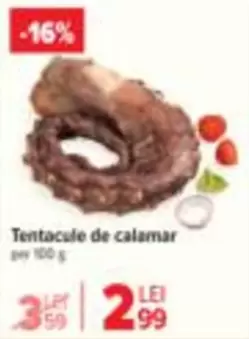 Tentacule de calamar