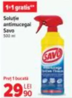 Solutie antimucegai