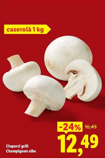 Ciuperci grill Champignon albe