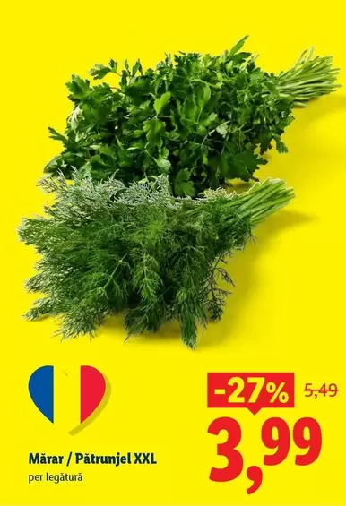 Măr / Pătrunjel XXL