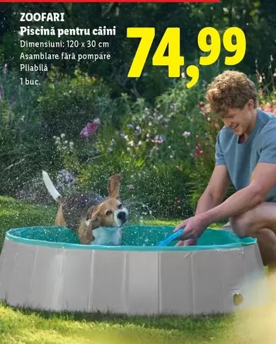 Piscina pentru caini
