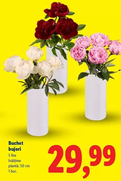 Buchet bujori