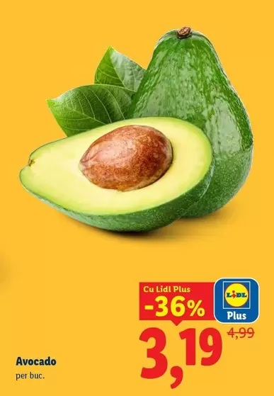 Avocado