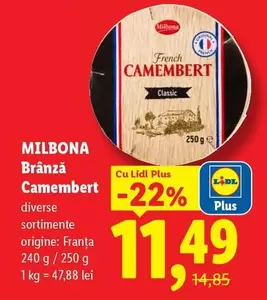Brânză Camembert