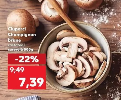 Ciuperci Champignon brune