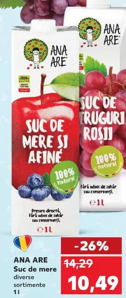 Suc de mere si afine