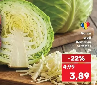 Varză albă