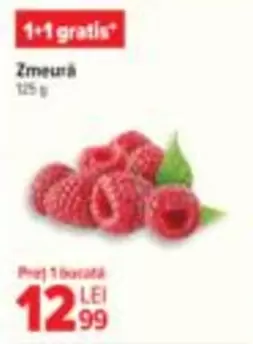 Zmeură