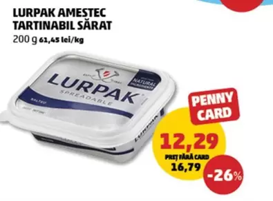AMMESTEC TARTINABIL SARAT