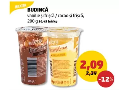 BUDINCĂ