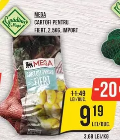 CARTOFI PENTRU FIERT