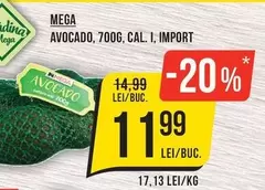 AVOCADO