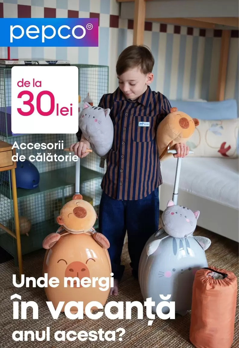 Accesorii de călătorie