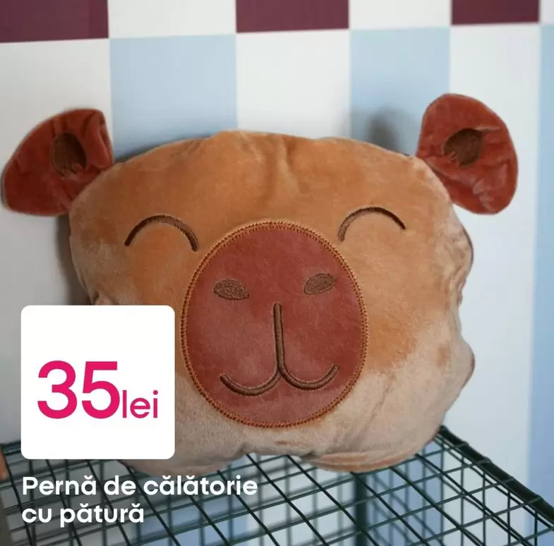 Pernă de călătorie cu pătura