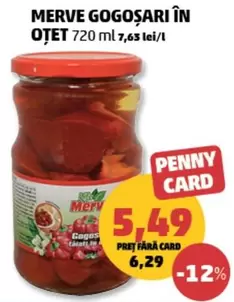 MERVE GOGOȘARI ÎN OȚET