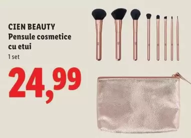 Pensule cosmetice cu etui