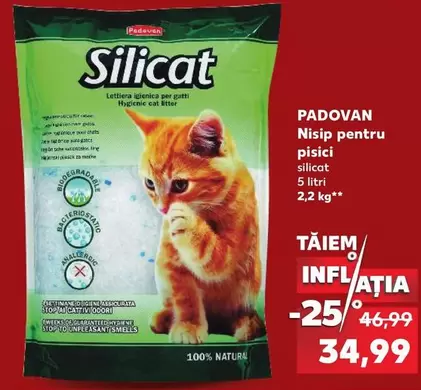 Silicat