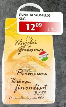 FAINA PREMIUM BL 55