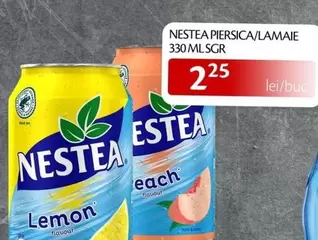 NESTEA PIERSICA/LAMAIE