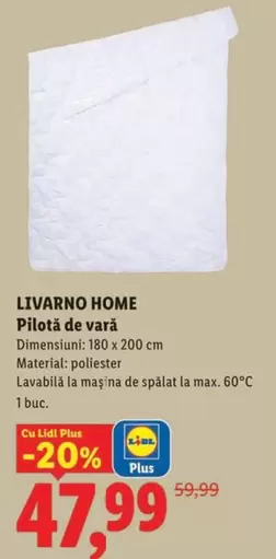 Pilotă de vară
