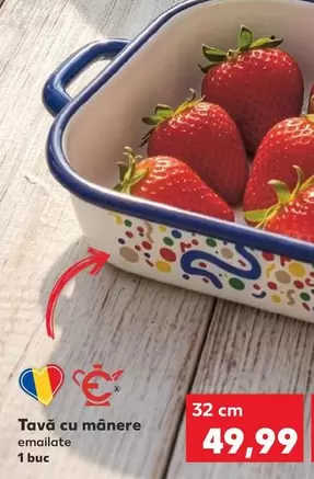Tavă cu mînere emailate