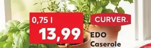 EDO Casserole