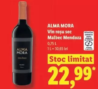 Vin roșu sec Malbec Mendoza
