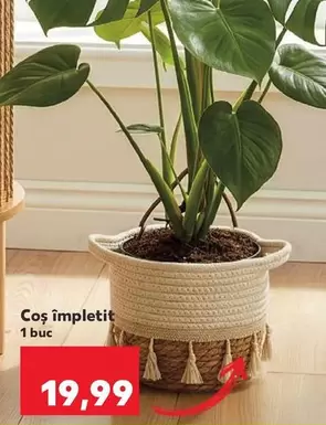 Coș împletit