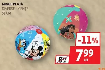 MINGE PLAJĂ DIVERSE LICENȚE