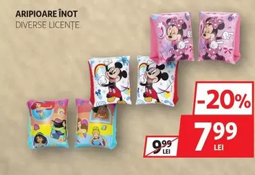 ARIPĂTOARE ÎNOT DIVERSE LICENȚE