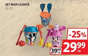 SET NISIP LICENTA