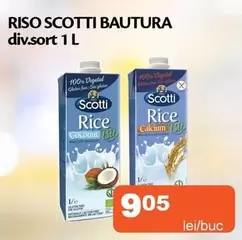 RISO SCOTTI BAUTURA