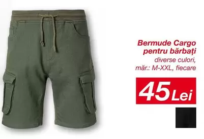 Bermude Cargo
