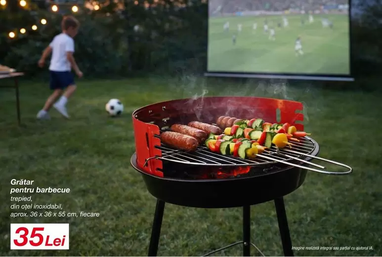 Gritar pentru barbecue