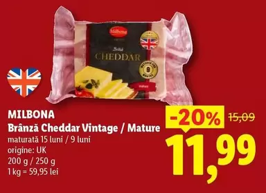 Brânză Cheddar Vintage / Mature