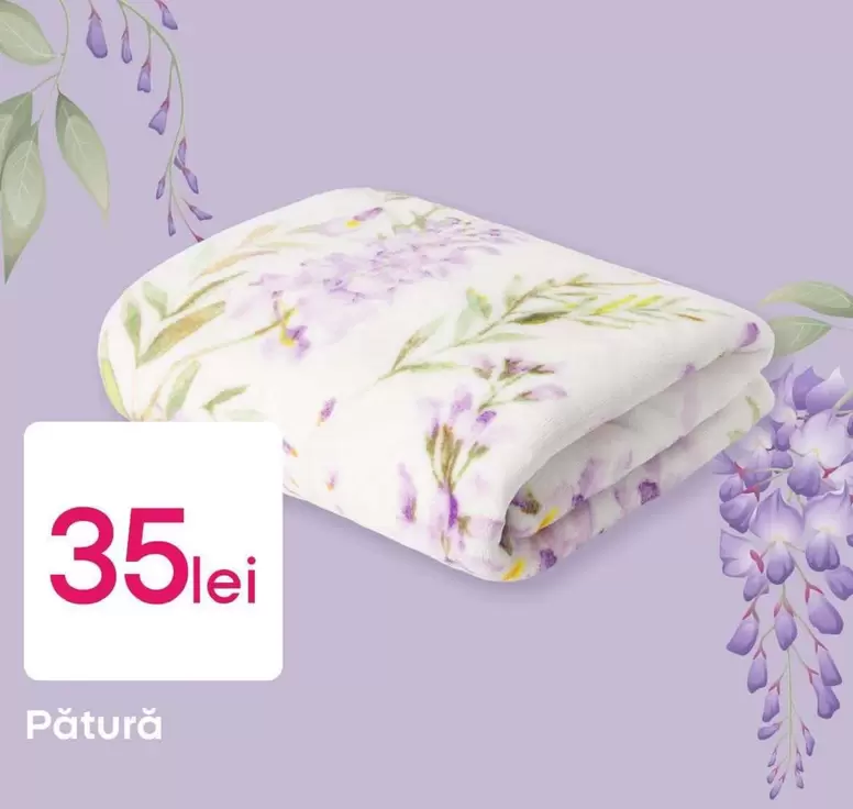 Pătură