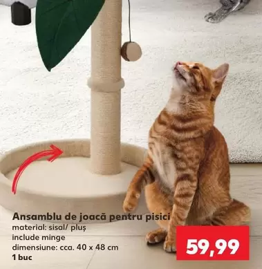 Ansamblu de joacă pentru pisici